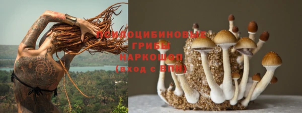 прущие крисы Баксан