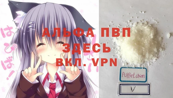 прущие крисы Баксан