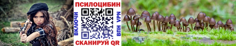 закладка  мега ссылки  Псилоцибиновые грибы ЛСД  Шумиха 
